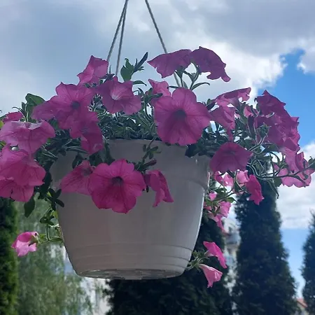 شقة Apartament Gdynskie Zacisze غدينيا